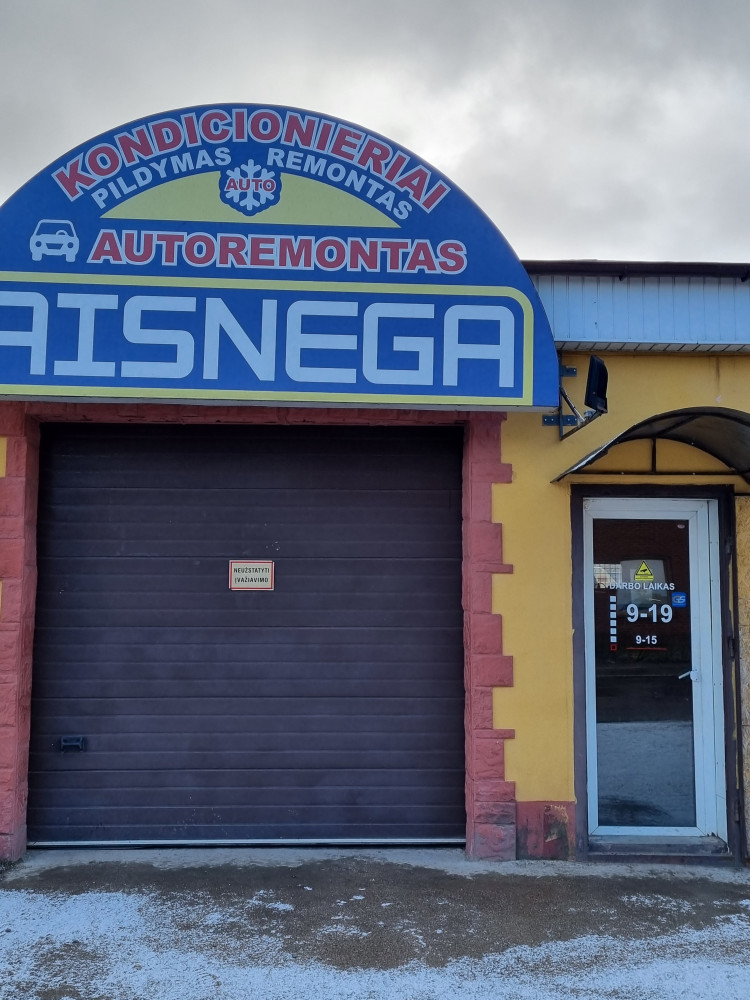 Aisnega, V. Bukauskio IĮ