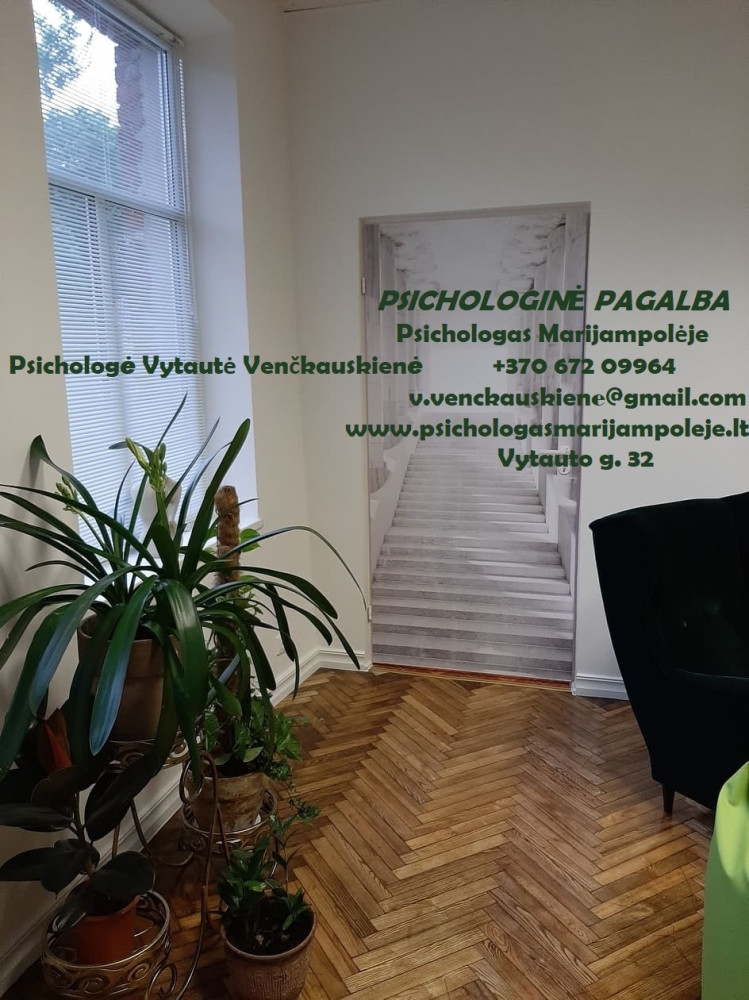 Psichologas Marijampolėje, V. Venčkauskienės IVV