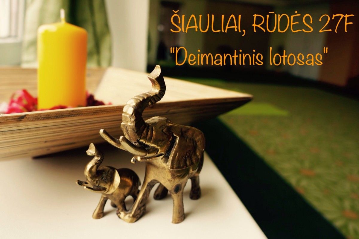 Deimantinis lotosas, jogos studija