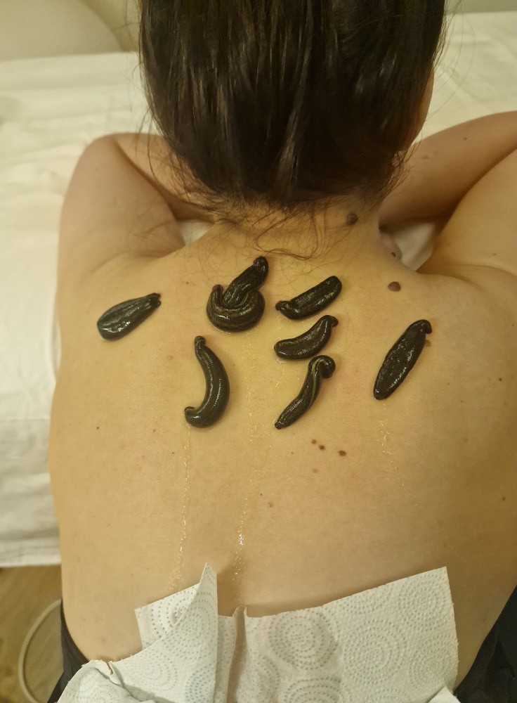 Naturmed, natūralaus sveikatinimo ir SPA centras