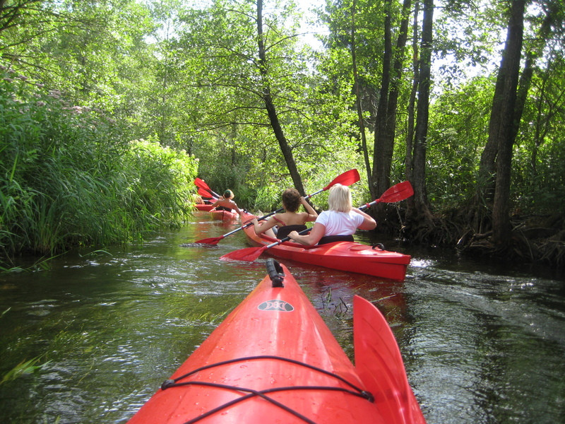 Baidarių bazė