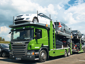 Polizinginiai.lt, UAB "Gelgotos transportas"