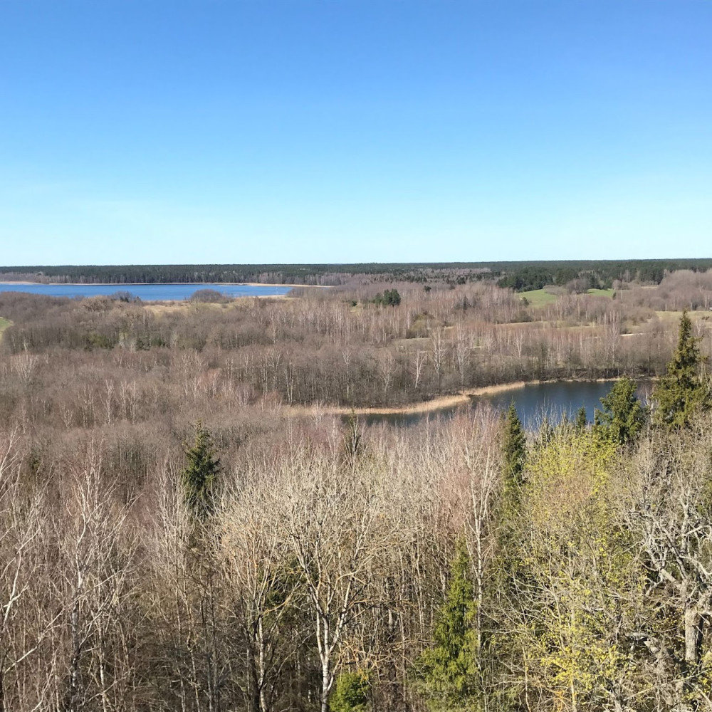 Busolė, MB