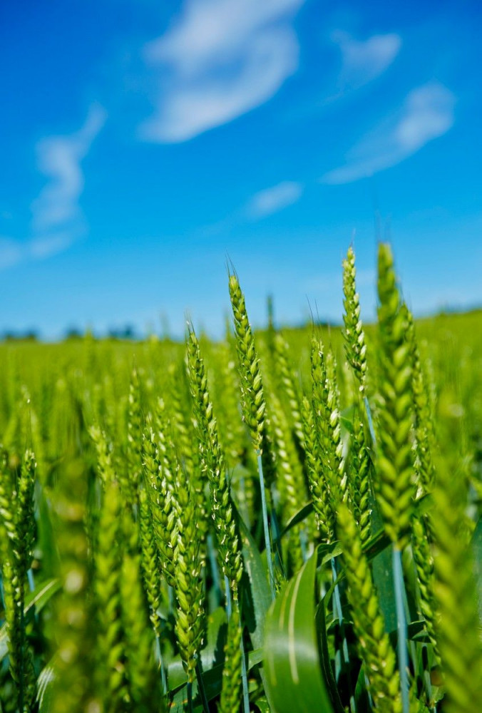 Timac Agro Lt, UAB