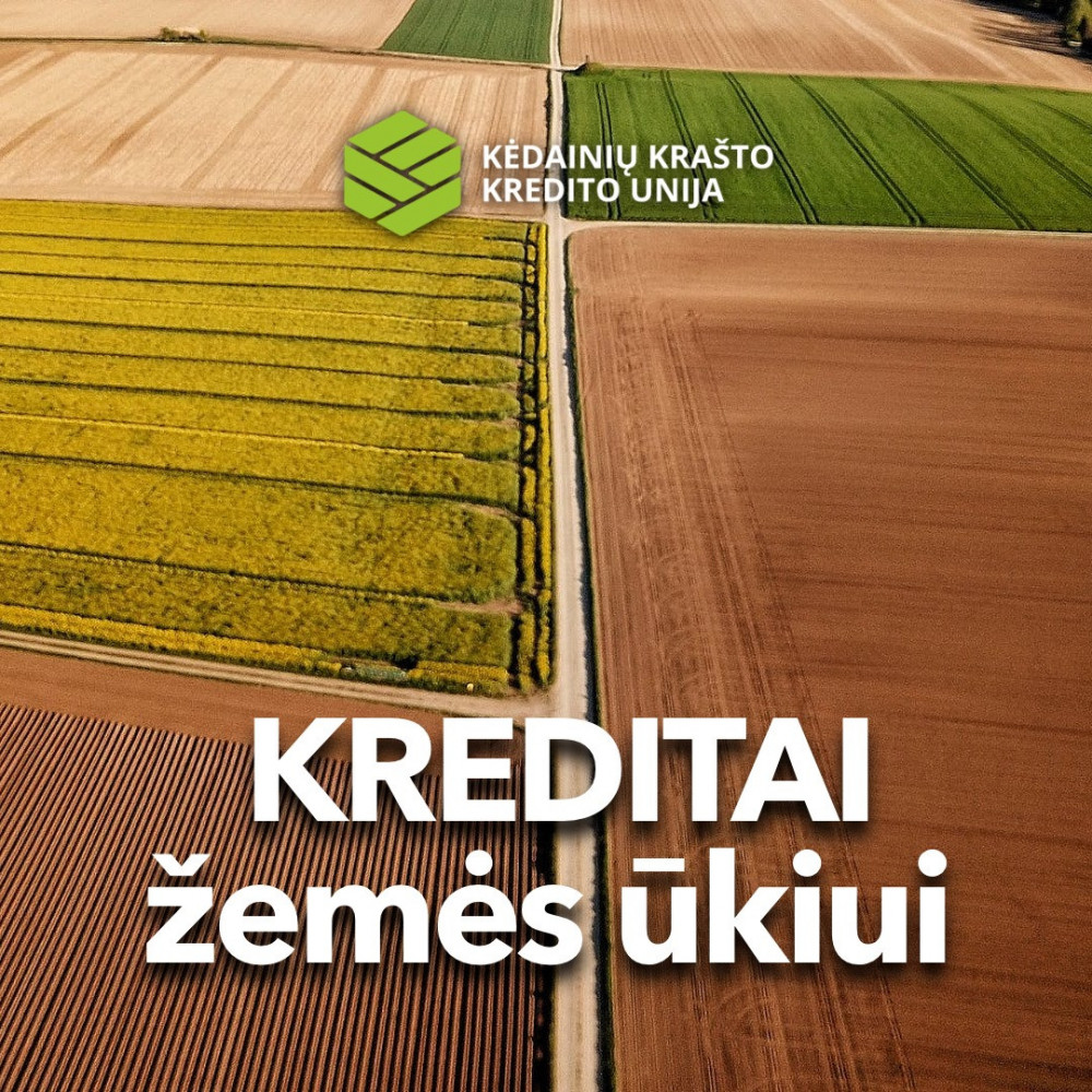 Kėdainių krašto kredito unija, Akademijos kasa