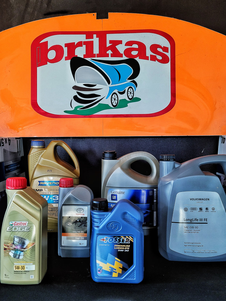 Brikas, R. Bagušienės firma