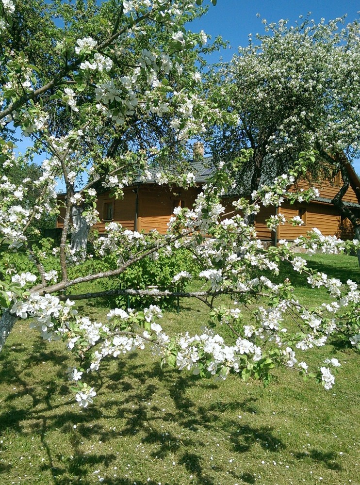 Kaimo turizmo sodyba, S. Adomėnienės įmonė