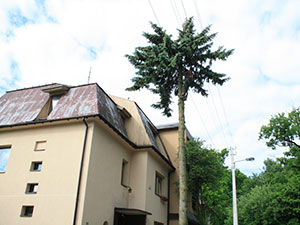 Pjovėjai, UAB