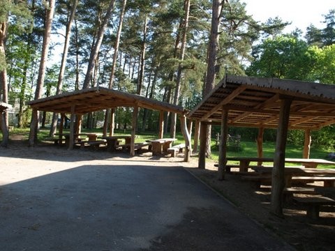 Valstybinių miškų urėdija, Pakruojo regioninis padalinys, Rozalimo miško parkas ir pažinimo takas, VĮ