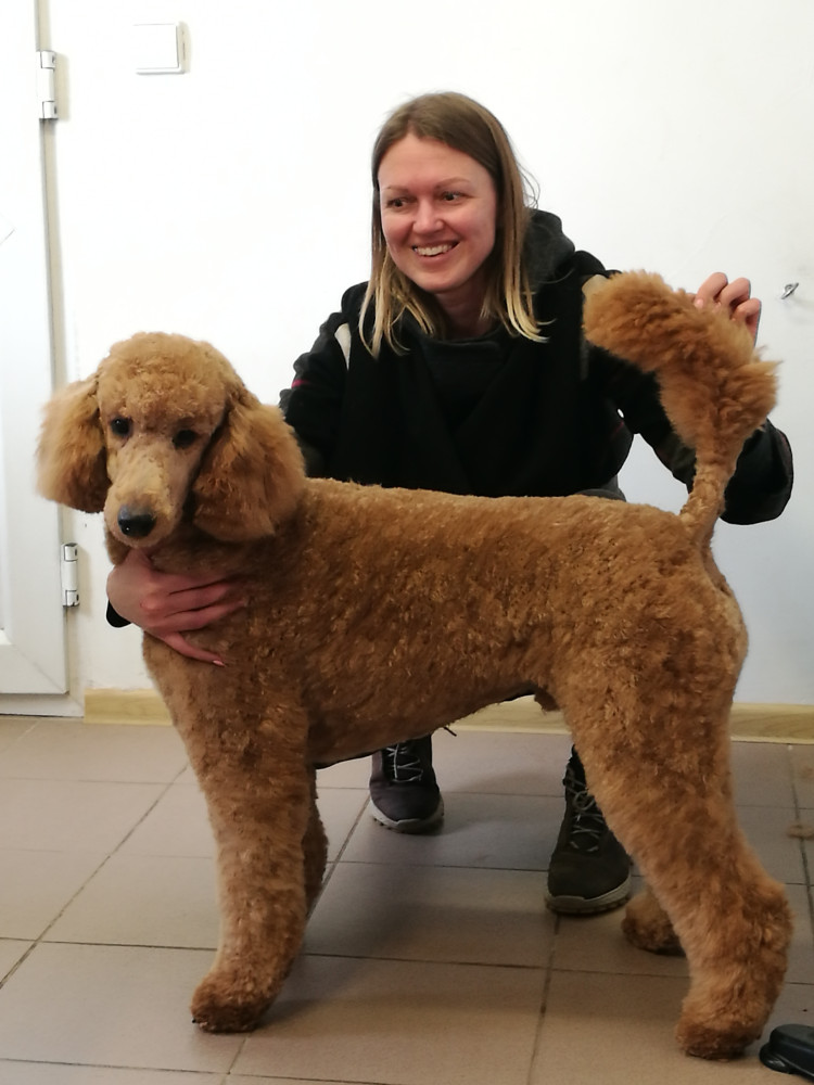 Aro veterinarijos vaistinė ir Gargždų šunų kirpykla