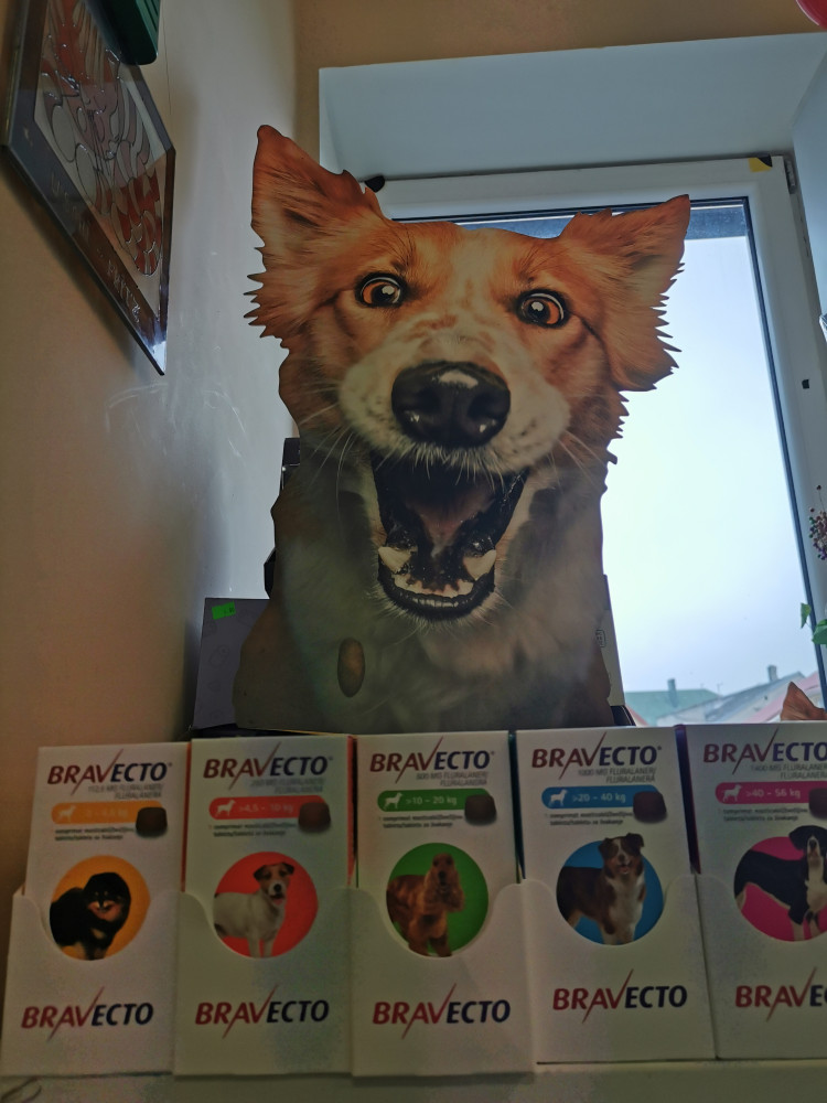 Aro veterinarijos vaistinė ir Gargždų šunų kirpykla