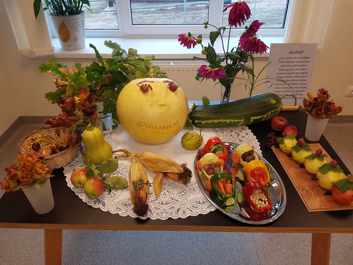 Akacijų užuovėja, senelių globos namai, VšĮ