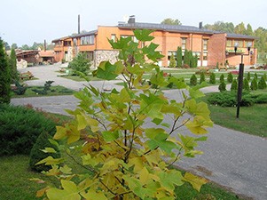 Viktorija, viešbutis-kempingas