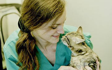 Severinos veterinarijos klinika, IĮ