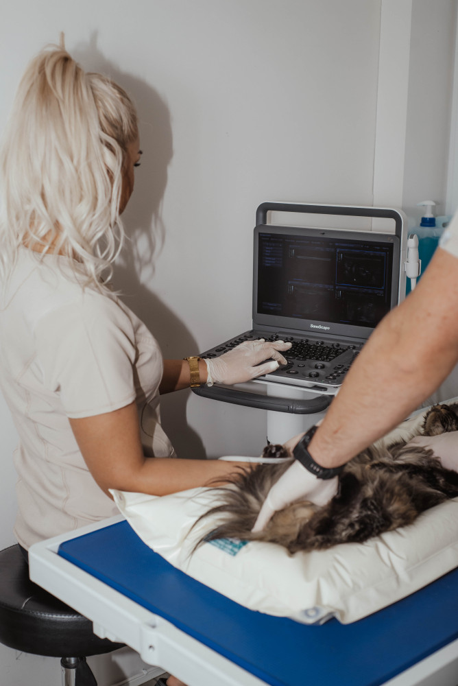 Narbuto veterinarijos klinika