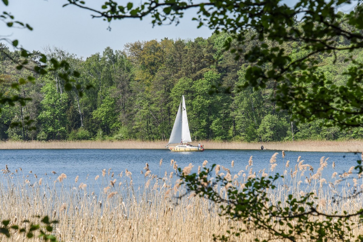 Medaus pirtelė