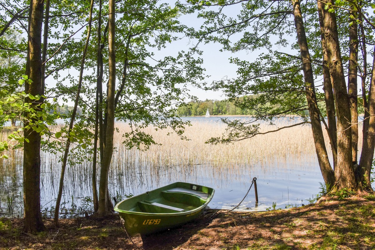 Medaus pirtelė