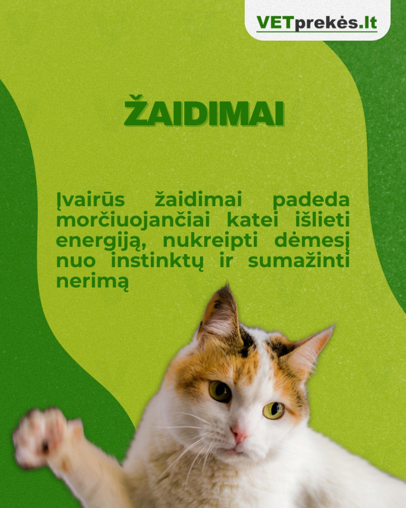 VETprekės.lt