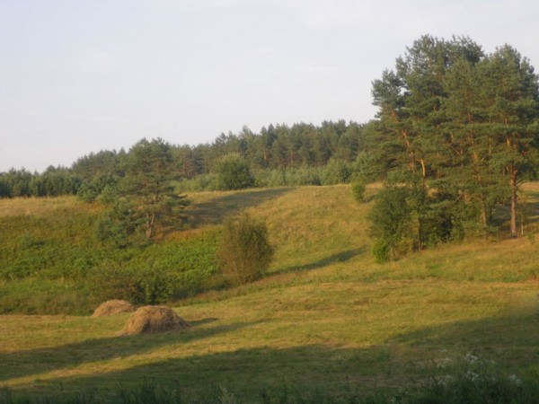 Po Luknos gluosniais, I. ir J. Vaitkų kaimo turizmo sodyba