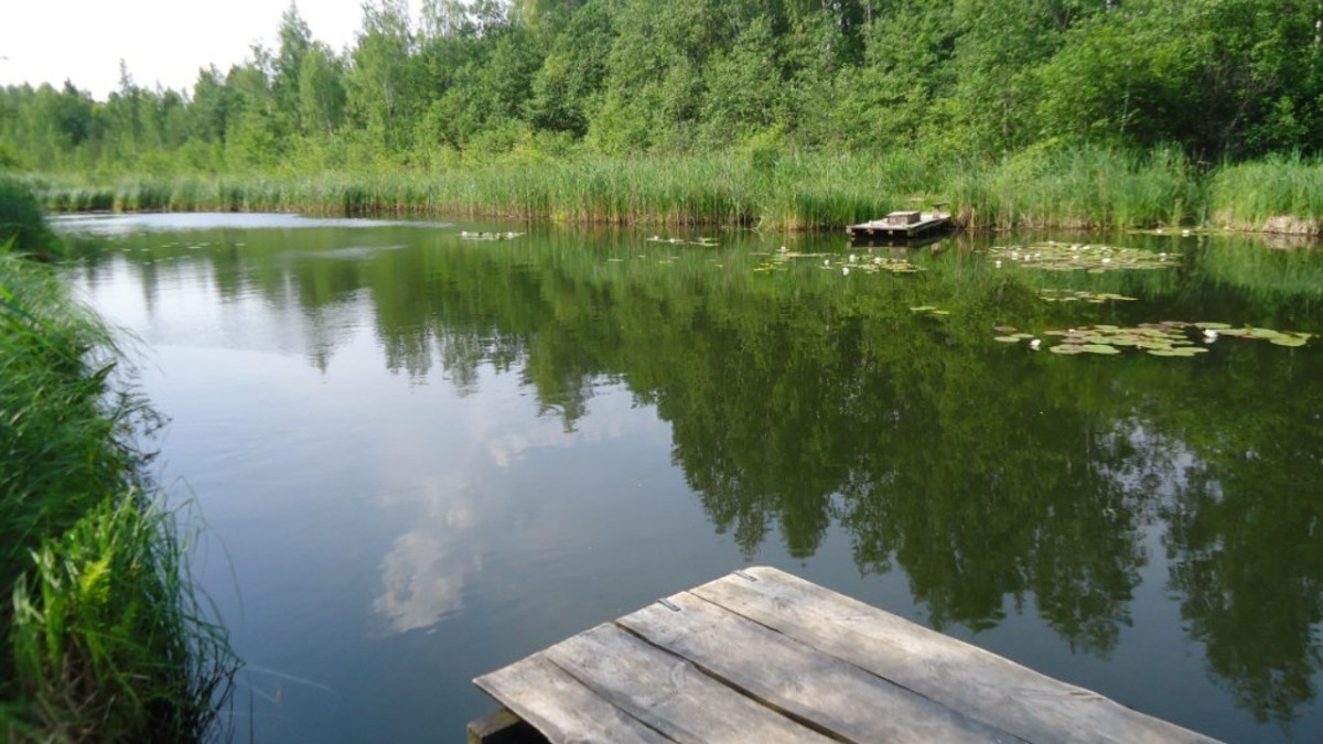 Česlovo sodyba-baidarių nuoma