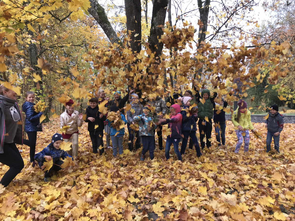 Kauno Montessori mokykla, VšĮ