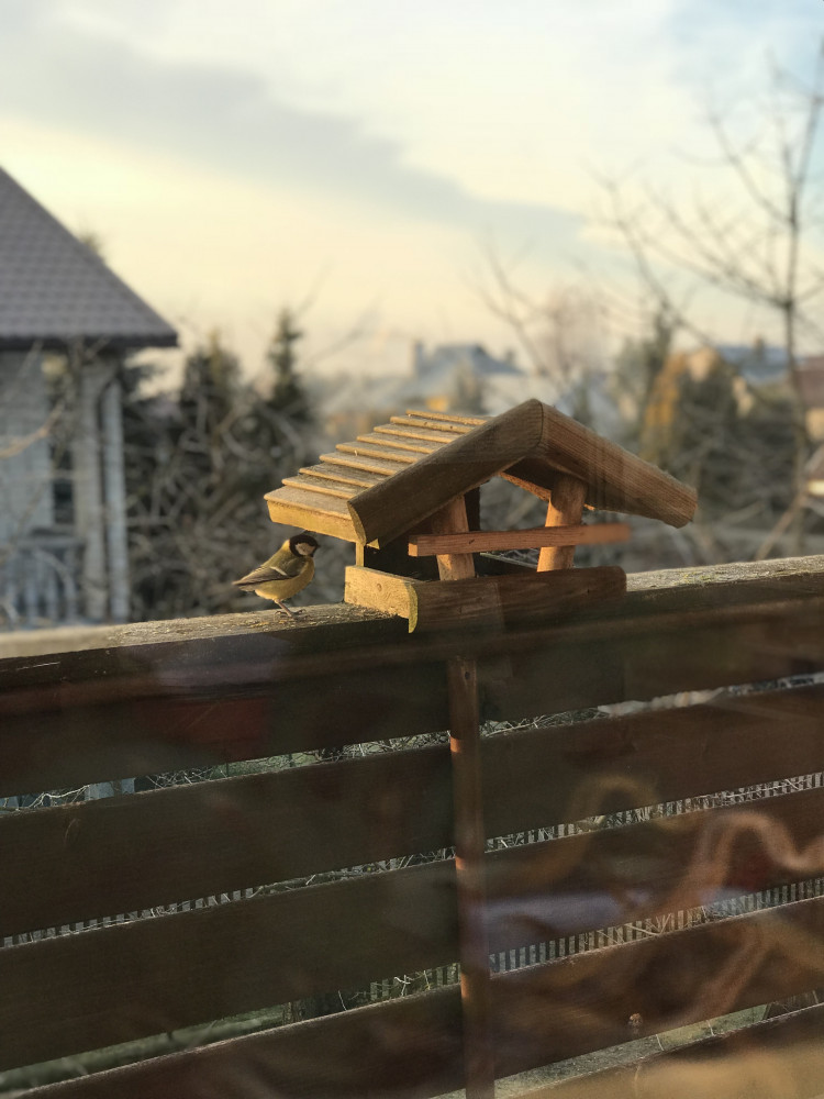 Kauno Montessori mokykla, VšĮ