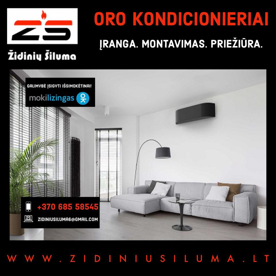 Židinių šiluma, D. Žibiko IVV