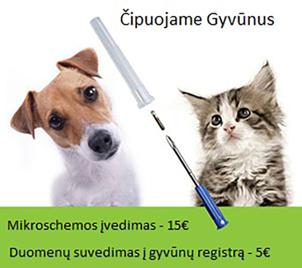Kuršių klinika, A. Martinkaus IĮ