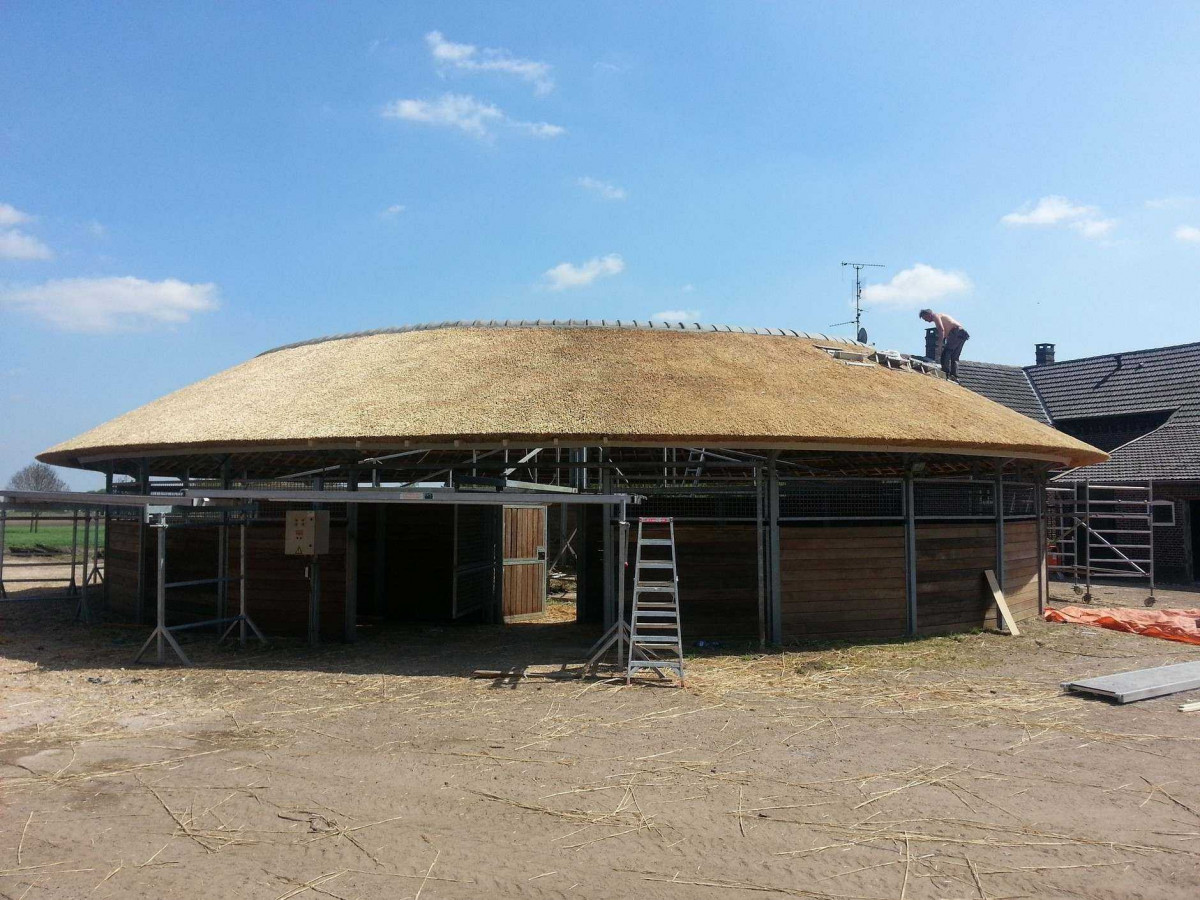 Nendriniai stogai, MB