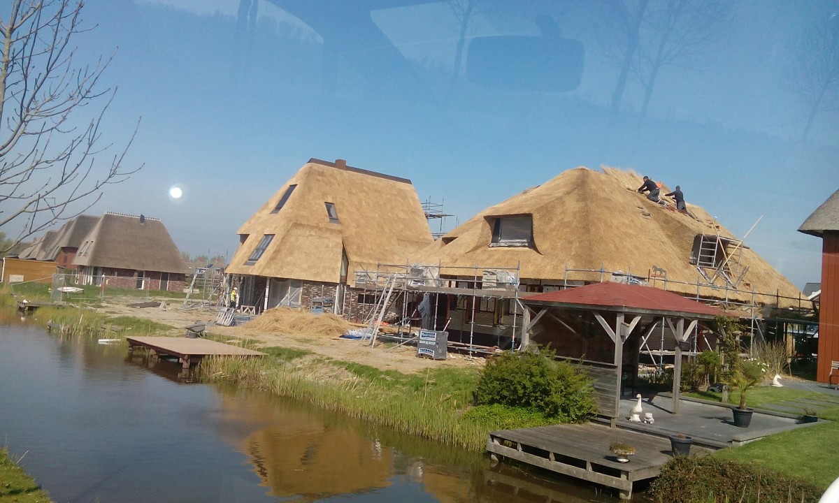 Nendriniai stogai, MB