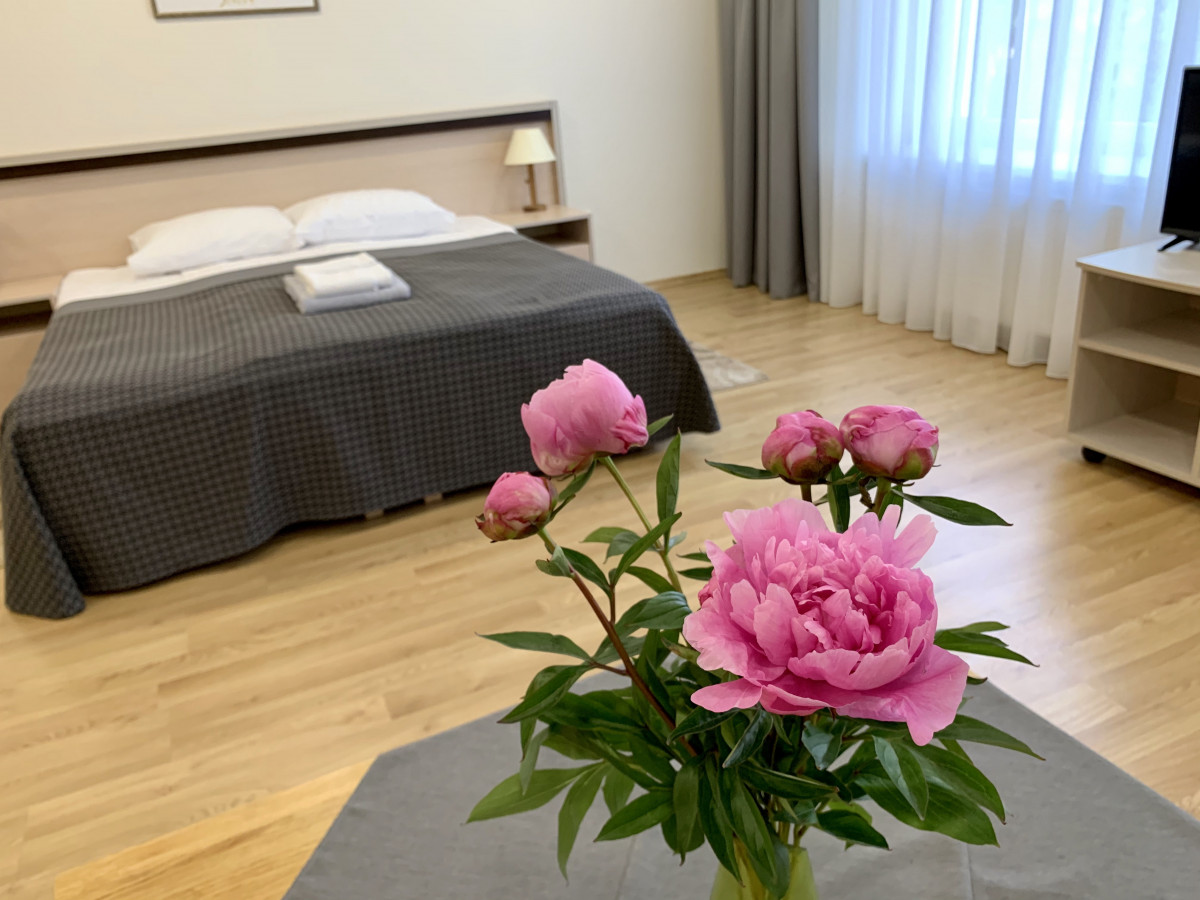 Guesthouse in Druskininkai, svečių namai