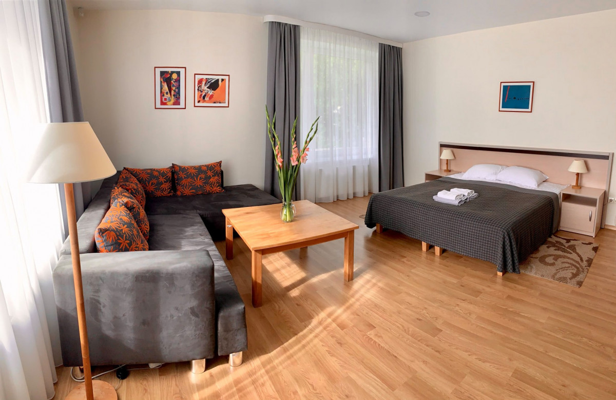 Guesthouse in Druskininkai, svečių namai