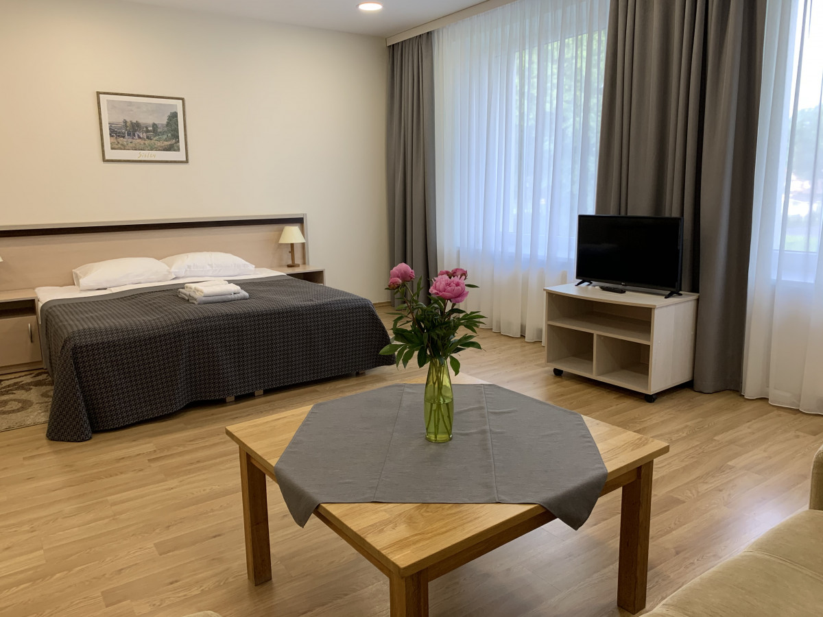 Guesthouse in Druskininkai, svečių namai
