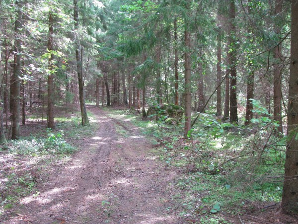Alkas, J. ir B. Baltakių sodyba