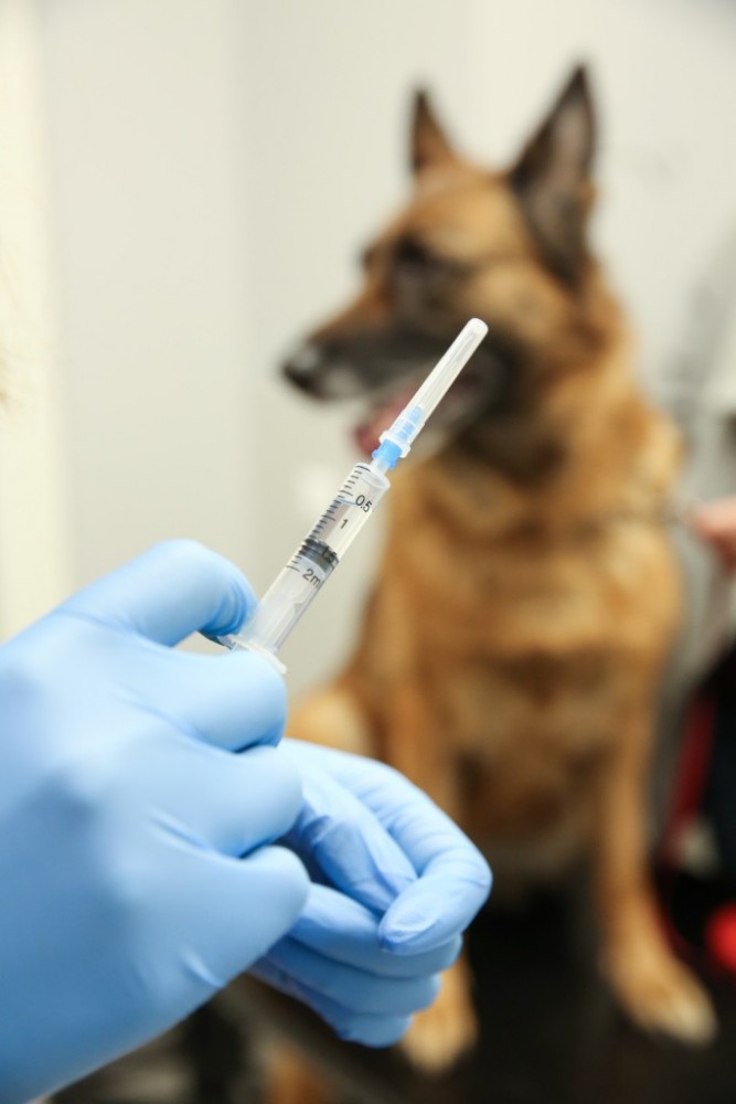 PetCity klinika, UAB