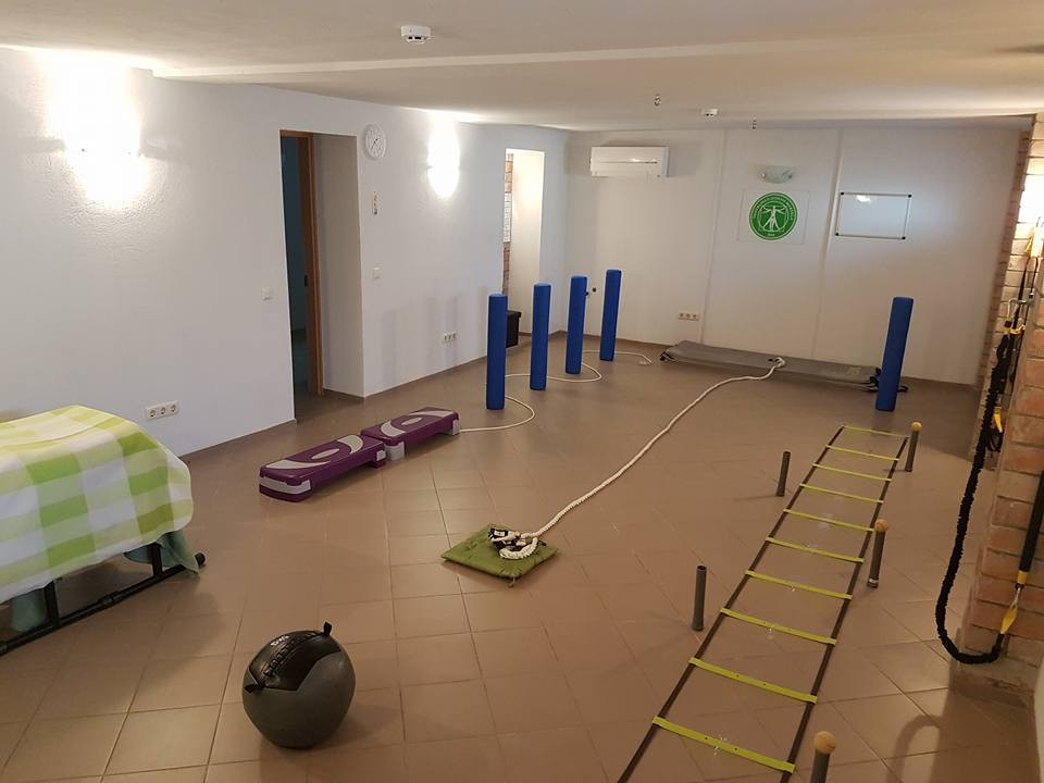 Taisyklingo judesio mokykla, VšĮ