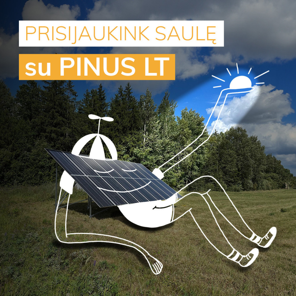 Pinus LT, UAB