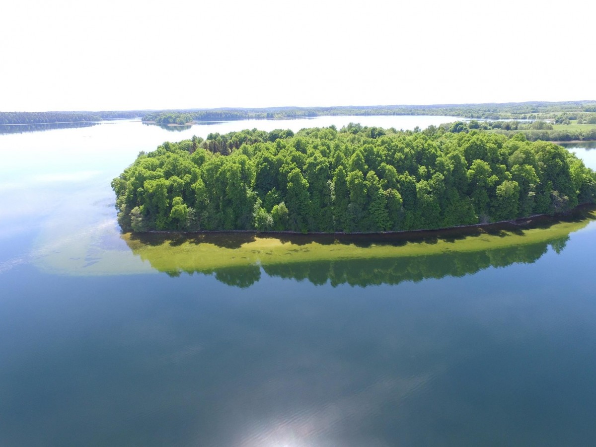 Oda, svečių namai