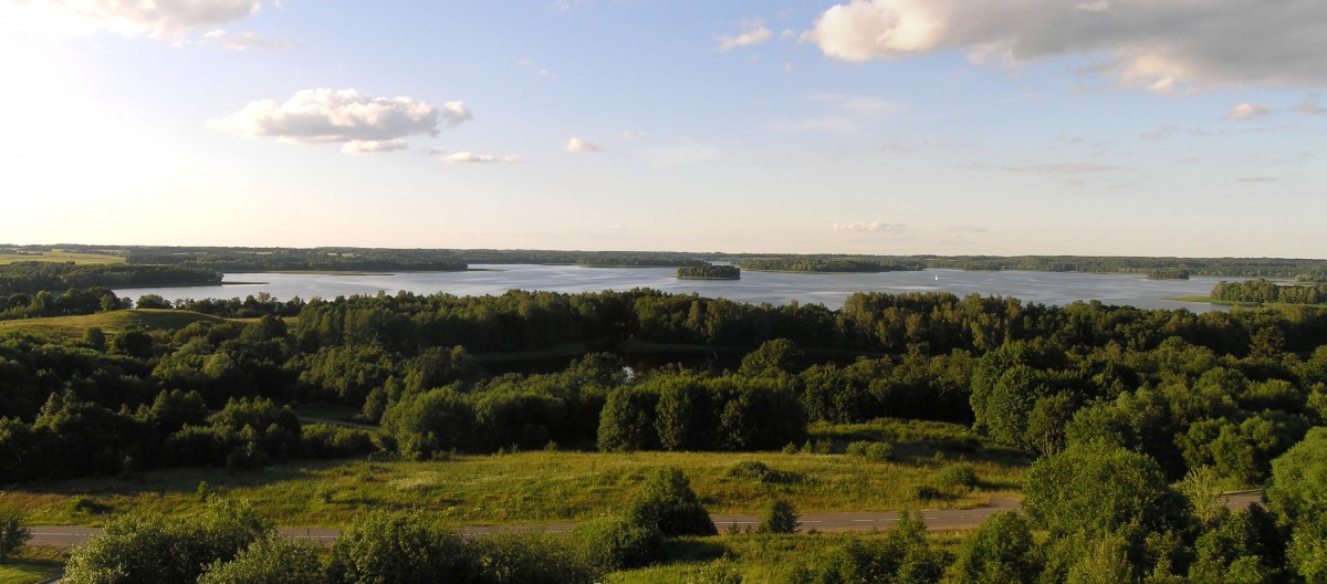 Uosėja, MB