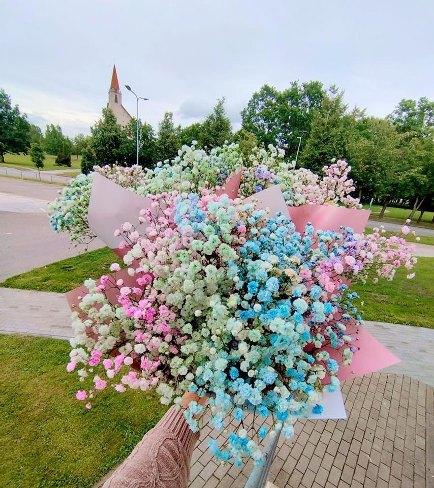 Gėlių oazė, G. Šidlauskienės IVV