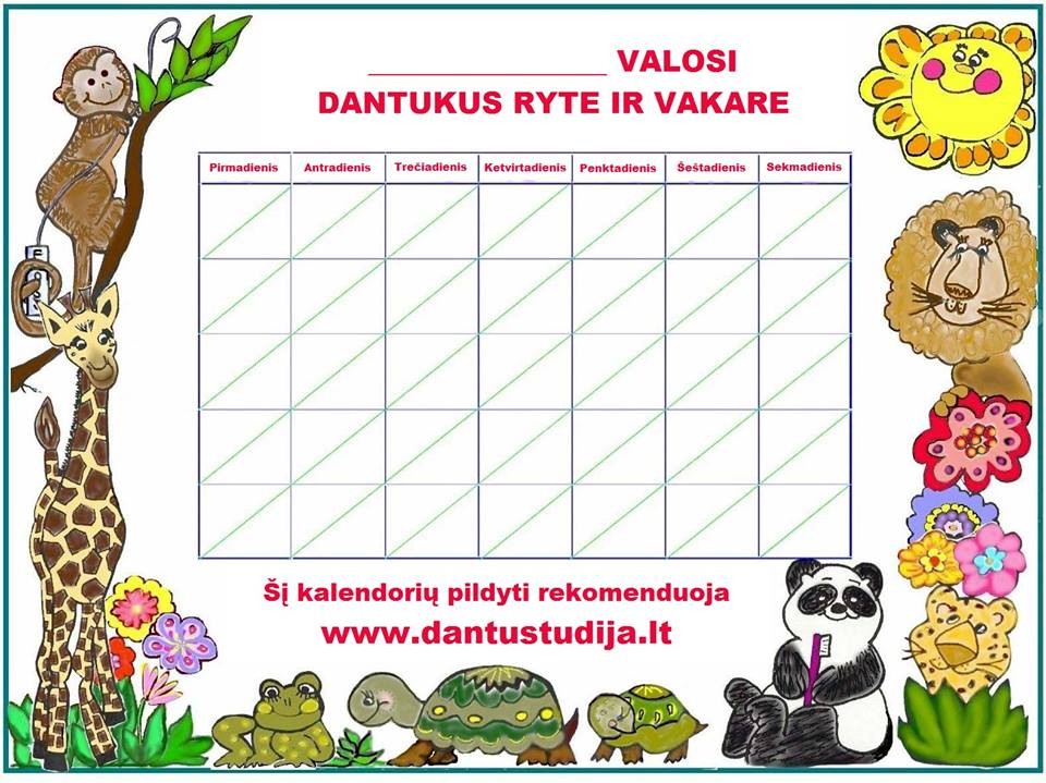 Dantų studija