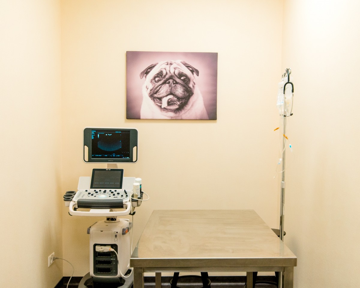 Akeso veterinarijos klinika