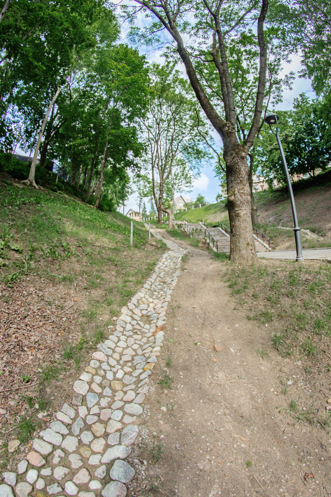 Rinresta, MB