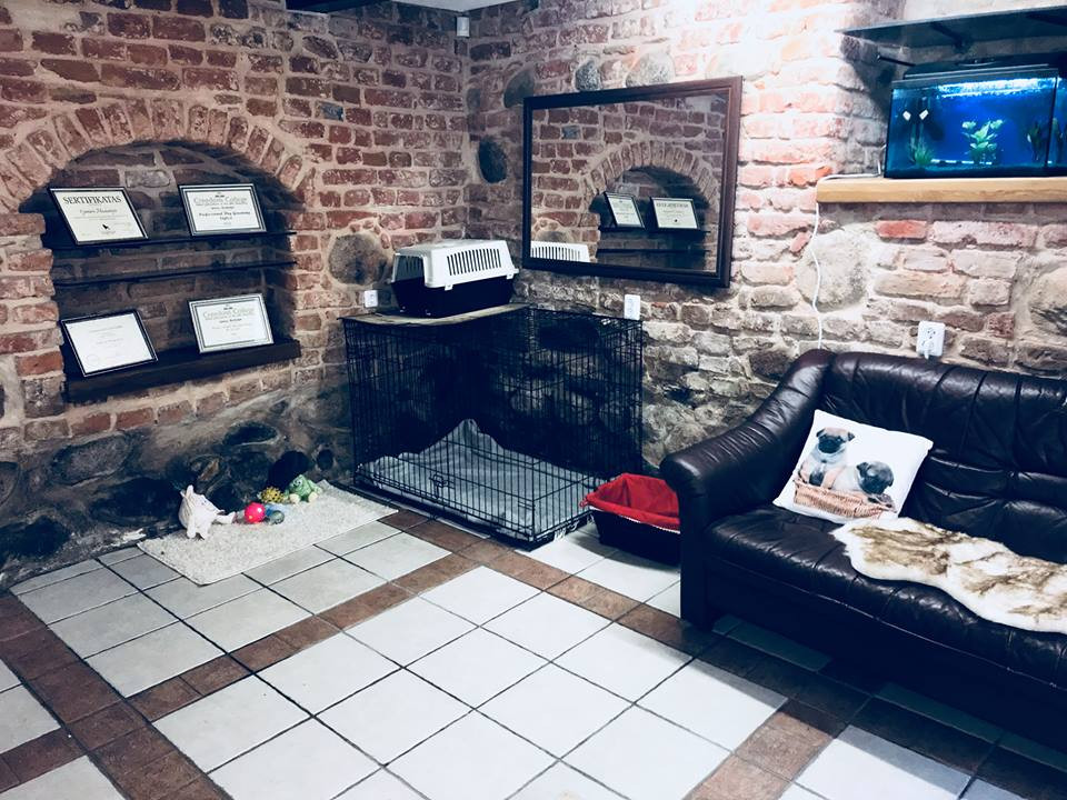 VIP Dog, šunų kirpykla