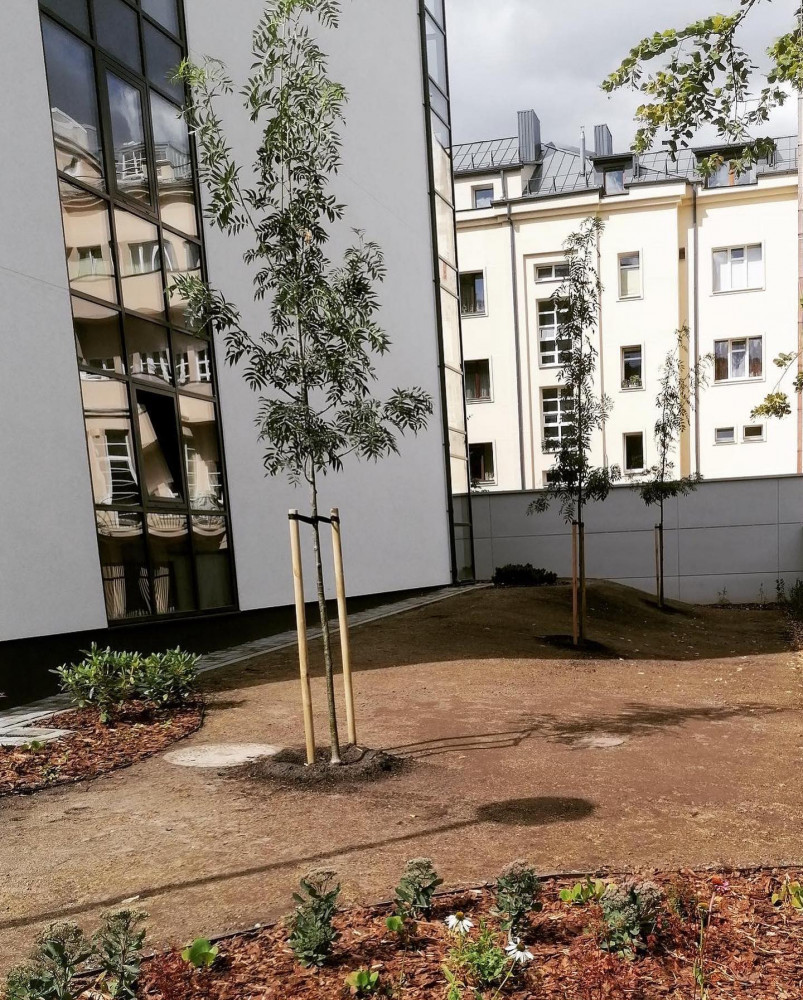 Kauno želdiniai, MB