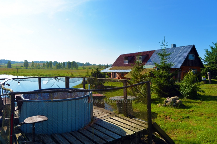 Oazė, sodyba