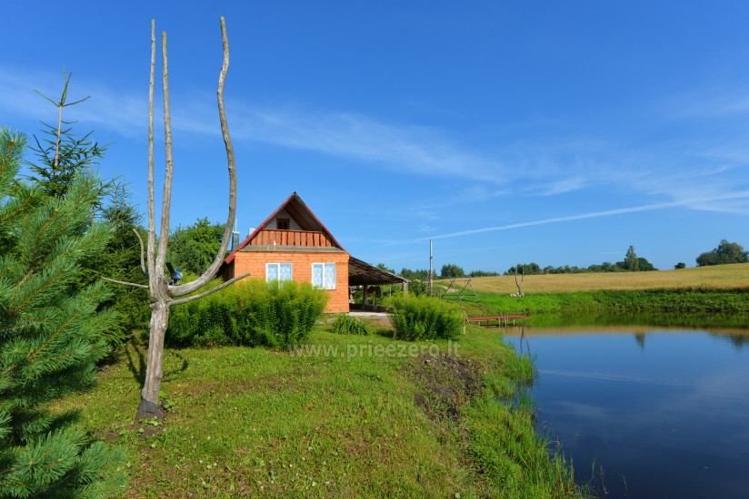 Oazė, sodyba