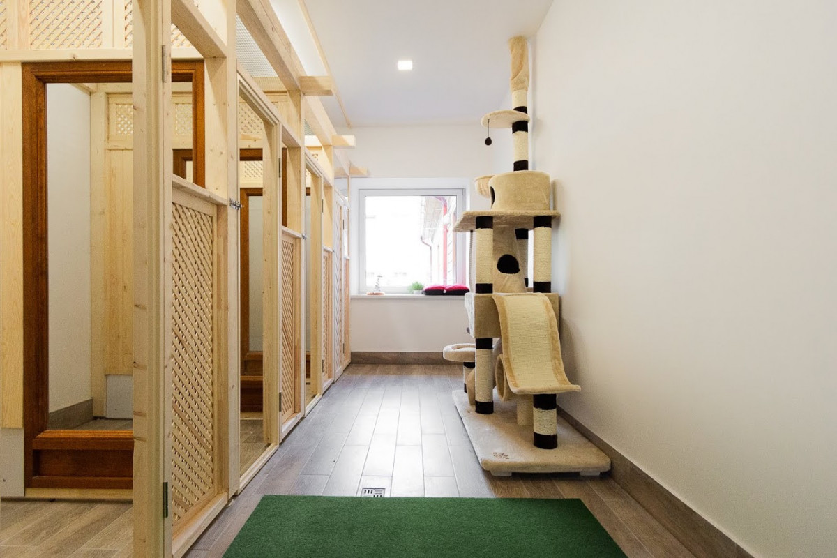 Zoohotel, gyvūnų viešbutis, UAB "Saltvus"