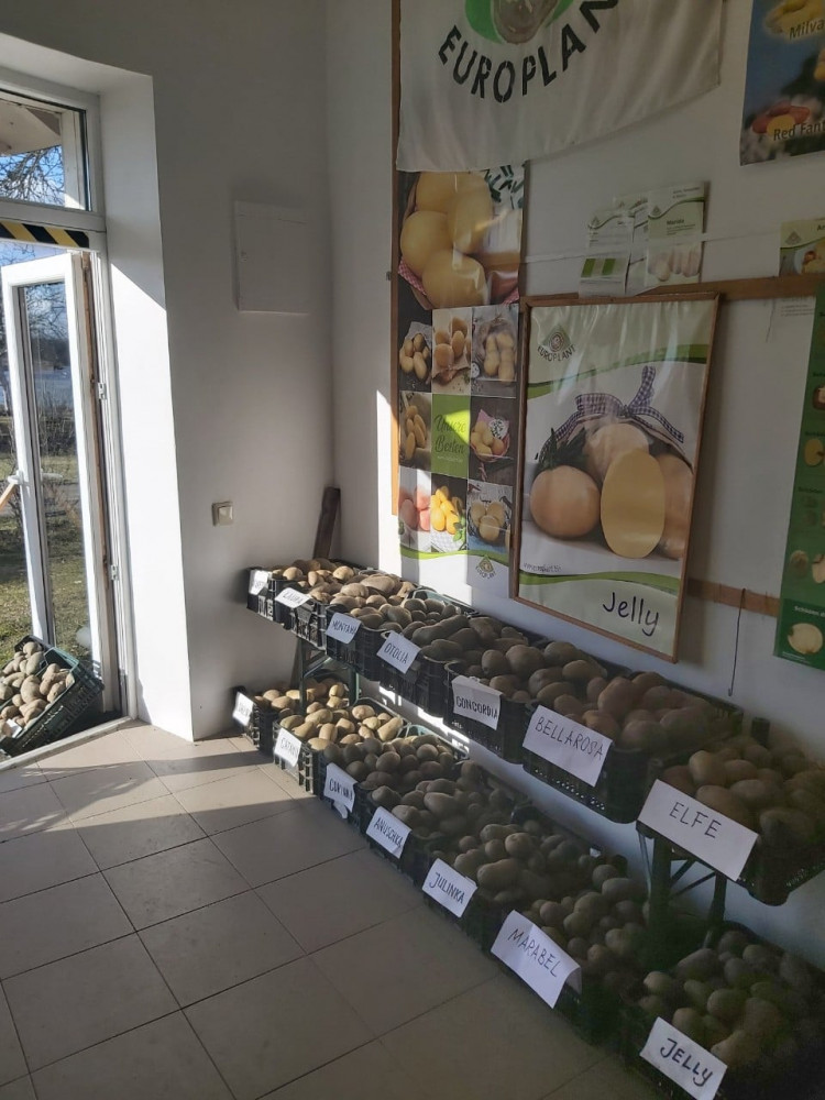 Bulvės muziejus