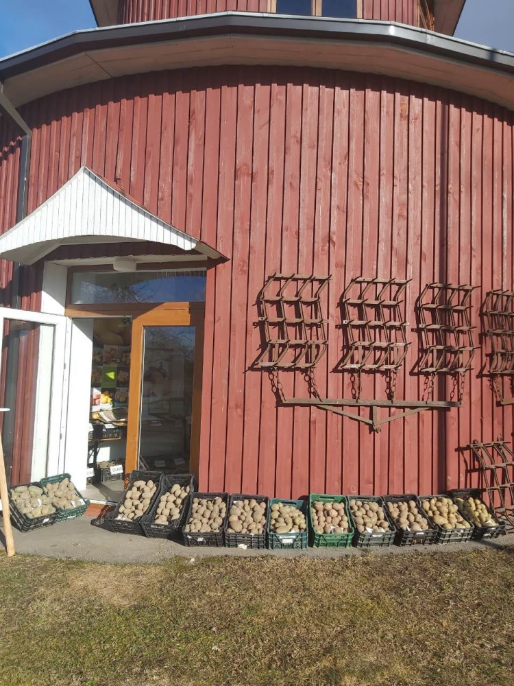 Bulvės muziejus
